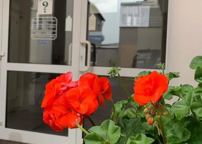 Wittlicher Hof וויטליך